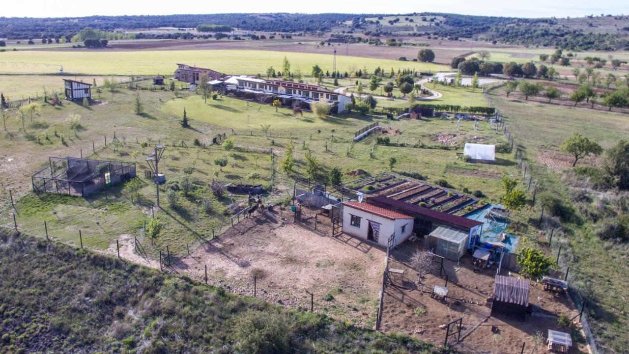 Hotel Albergue Bioclimatico Sabinares Del Arlanza Puentedura Exterior photo
